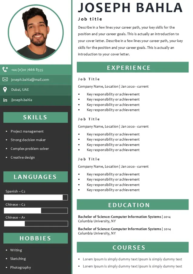 Best CV format for Free