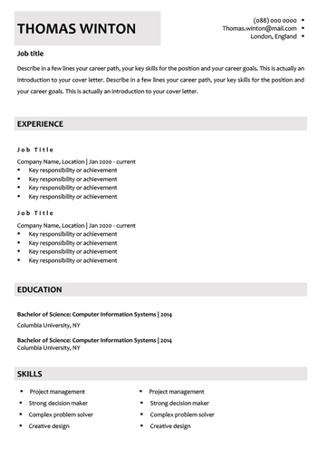 Free CV internship Word