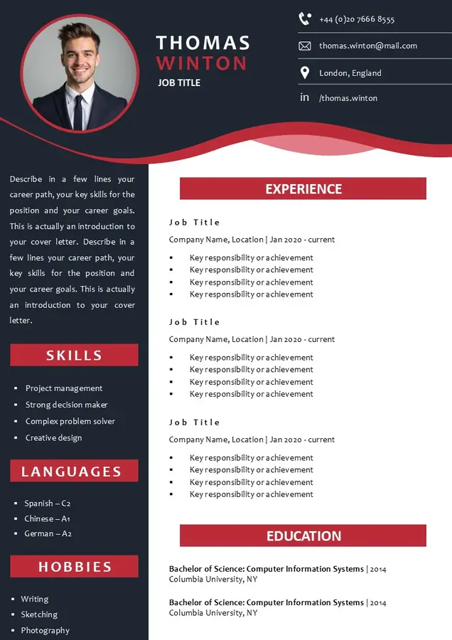 Free online CV example