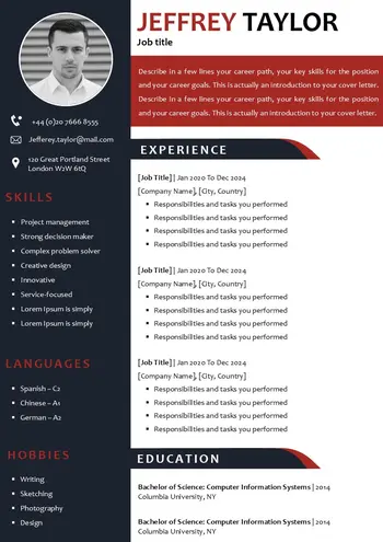 Professional Resume Template PPT & Doc