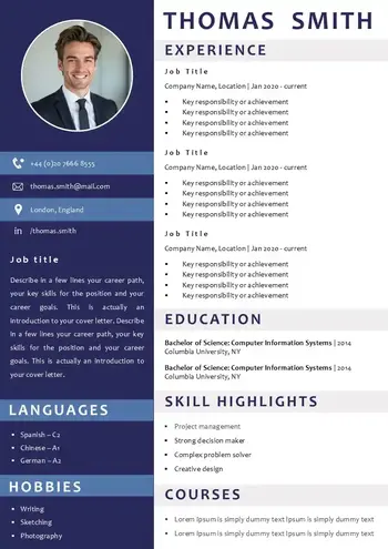 Professional CV to download